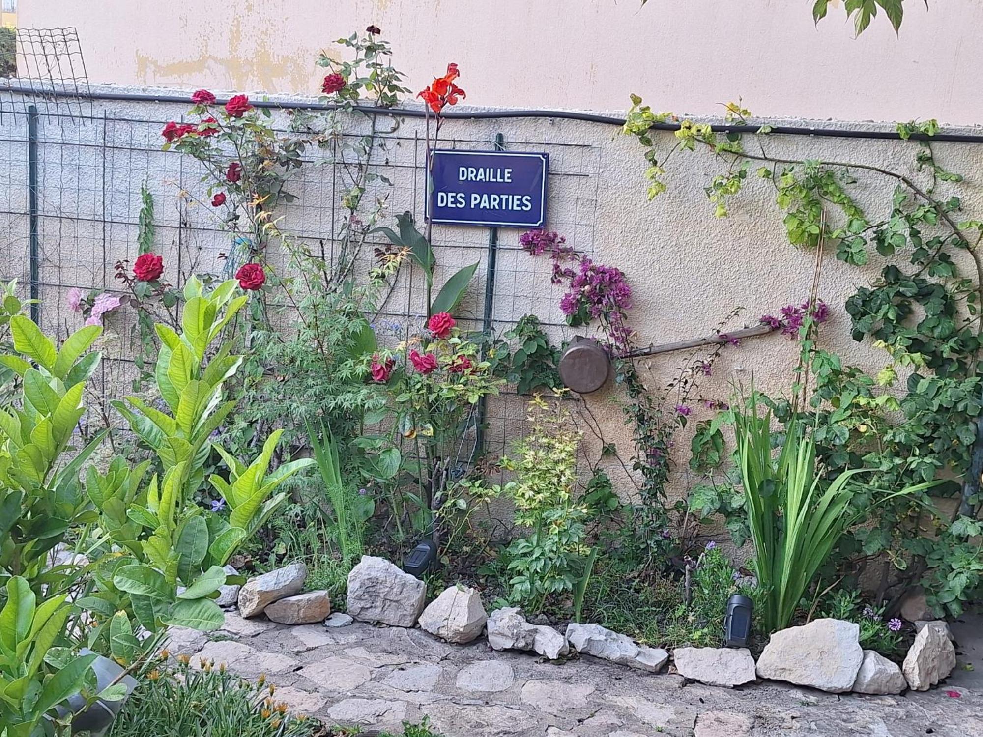 Site Paradis Rue Colibri Avignon Buitenkant foto